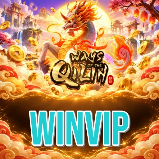 winvip Features